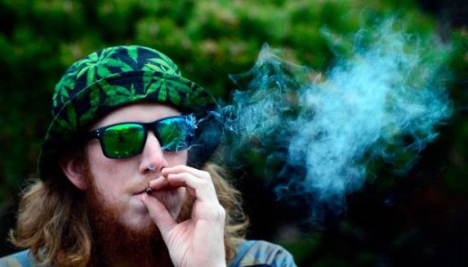 Kak-kannabis-vozdejstvuet-na-legkie__QVgX9Pp4ZuuYuYvx.jpg