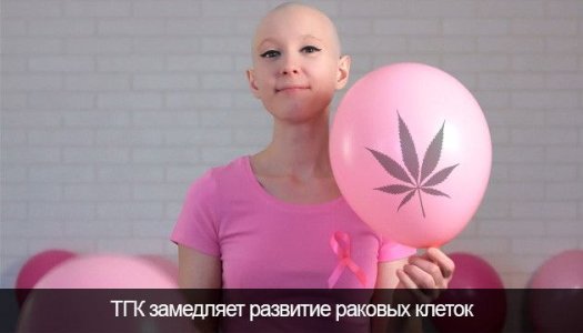 YAvlyaetsya-li-marihuana-odnoj-iz-prichin-razvitiya-raka-legkih__Z3i6wdOET7EEz0To.jpg