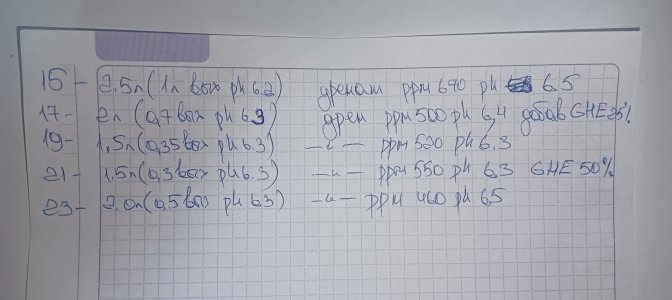IMG20241123144330.jpg