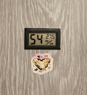 5339272428221751836.jpg