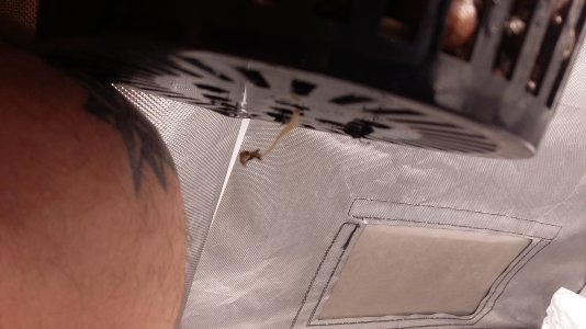 20250116_185531.jpg