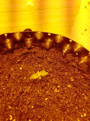 IMG_20250130_103324_260.jpg