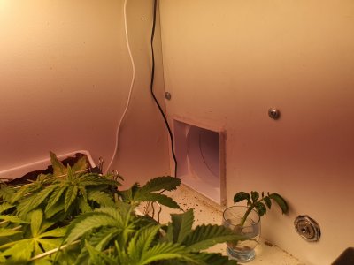 20250308_134903.jpg