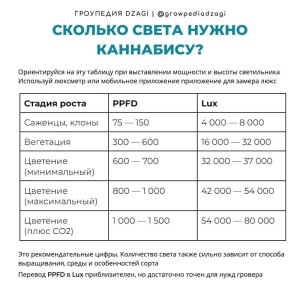 Сколько света.jpg Сколько света.jpg