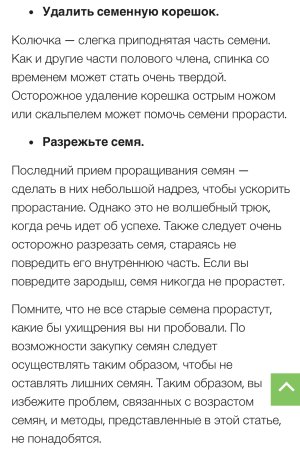 IMG_9194.jpeg