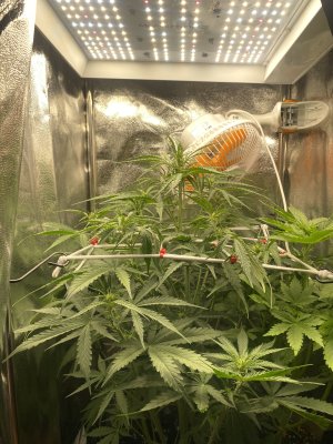 IMG_1947.jpeg