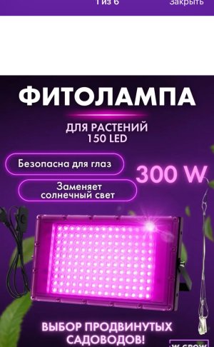 IMG_3981.jpeg