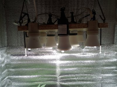 IMG_20250507_174418_973.jpg
