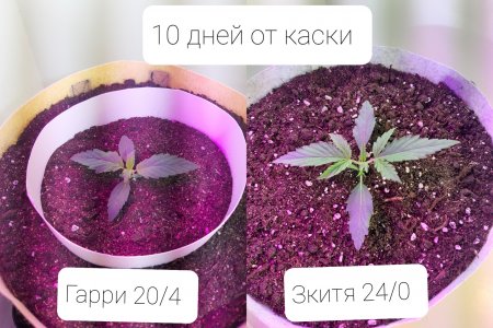 20220405_183113.jpg