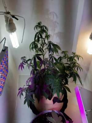 20220414_100751.jpg