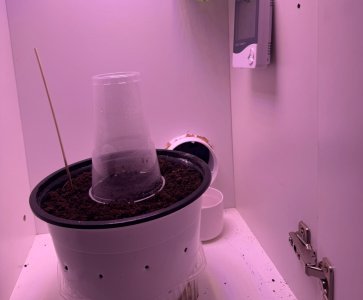 IMG_3272.jpeg