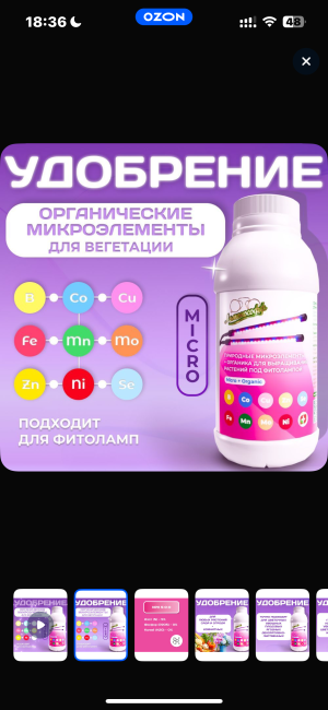 IMG_1192.png