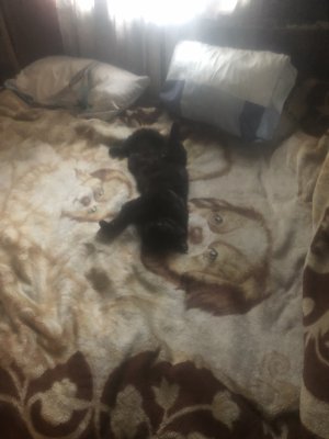 IMG_3002.jpeg