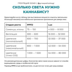 1000018042.jpg