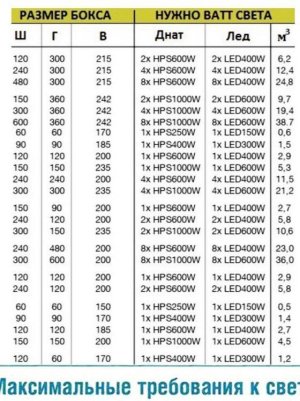 IMG_7950.jpeg