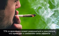 Snizhenie-sily-effekta__gcYxikepr2mNZ0Mj.jpg