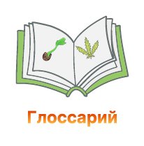 glossarij-100.jpg