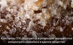 kak-proizvodyatsya-kristally-tgk__XmFj2Rqi7UlKZh23.jpg