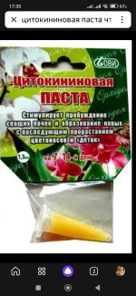 Screenshot_2025-08-22-17-35-16-313_ru.yandex.searchplugin.jpg