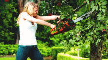 gardener-expert.gif gardener-expert.gif