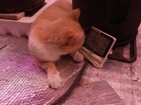 IMG_20250913_094852.jpg