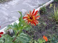 IMG_20250914_071443.jpg