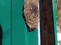 IMG_20250915_101533.jpg
