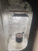 20250918_201030.jpg