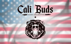 cali-buds__GvXwDxAsEwnUKEcy.jpg