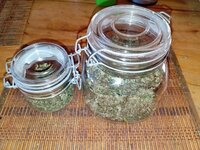 Итог  (3).jpg