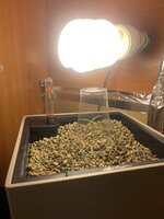 IMG_8822.jpeg