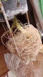 IMG_20251006_000151.jpg