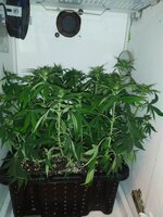 IMG_20251010_193934.jpg