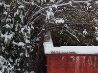 IMG_20251008_080553_874.jpg