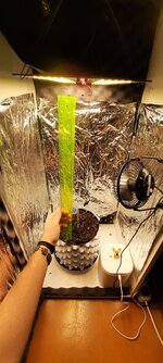 20251017_220438.jpg