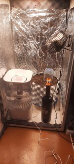 20251019_173254.jpg