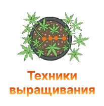 techniki vyraschivaniya-100.jpg techniki vyraschivaniya-100.jpg