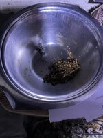 IMG_1184.jpeg