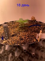 IMG_0572.jpeg