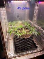 IMG_1053.jpeg