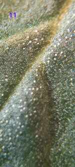 20251030_164927[1].jpg