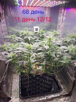 IMG_1500.jpeg
