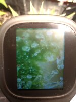 IMG_20251108_195234.jpg