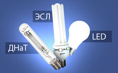 tipy-lamp__IcuiEiIbh7Qf8Utv.jpg