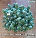 IMG-20251117-WA0000.jpg