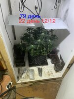 IMG_1630.jpeg