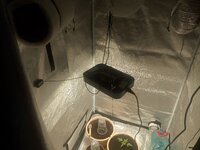 IMG_20251120_135039.jpg