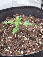 20251120_215950.jpg