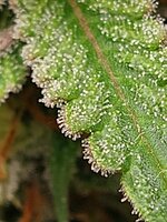 20251123_211629.jpg