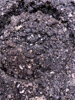 IMG_1697.jpeg
